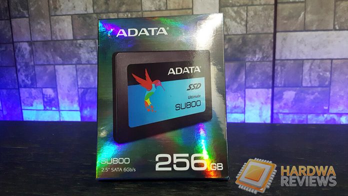 Review Adata Ultimate Su800 256gb Ssd 3d Nand 6538